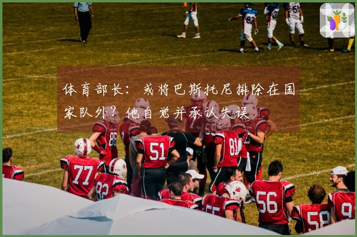 体育部长：或将巴斯托尼排除在国家队外？他自觉并承认失误