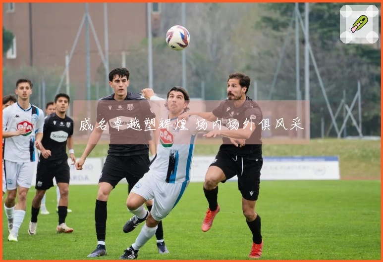 威名卓越塑辉煌 场内场外俱风采